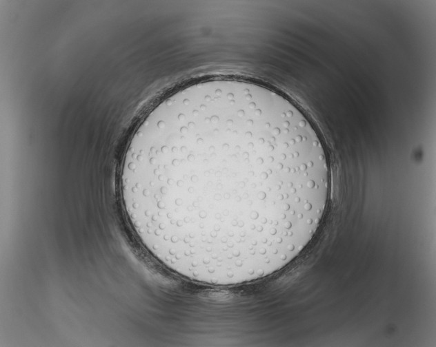 X0000116160253201001041120
