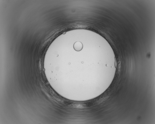 X0000116160254201001041120