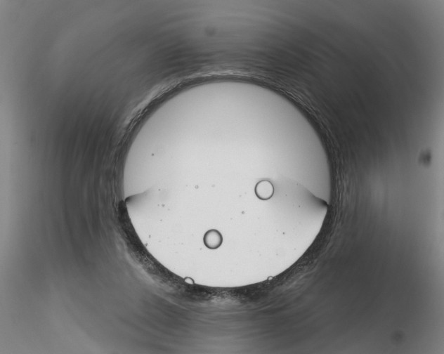 X0000116160256201001041120