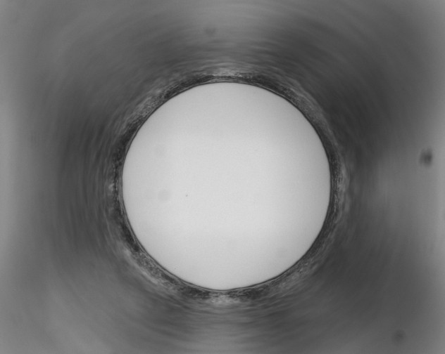 X0000116160257201001041120