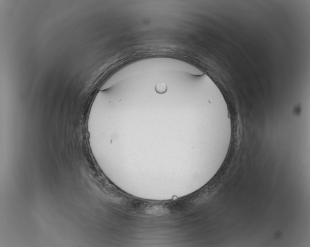 X0000116160258201001041120