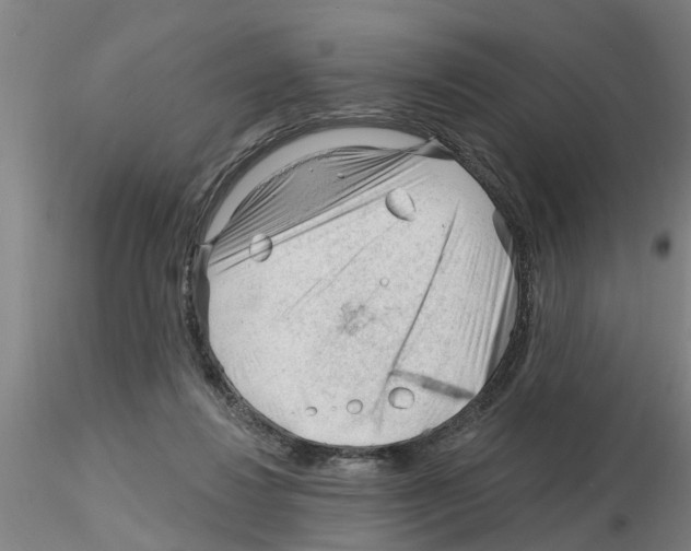 X0000116160260201001041120