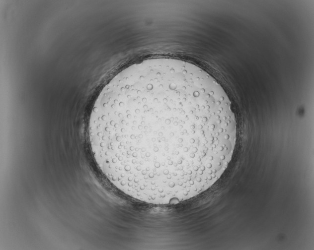 X0000116160261201001041120