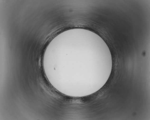 X0000116160262201001041120
