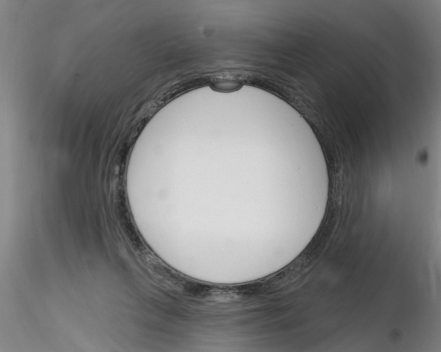 X0000116160263201001041120