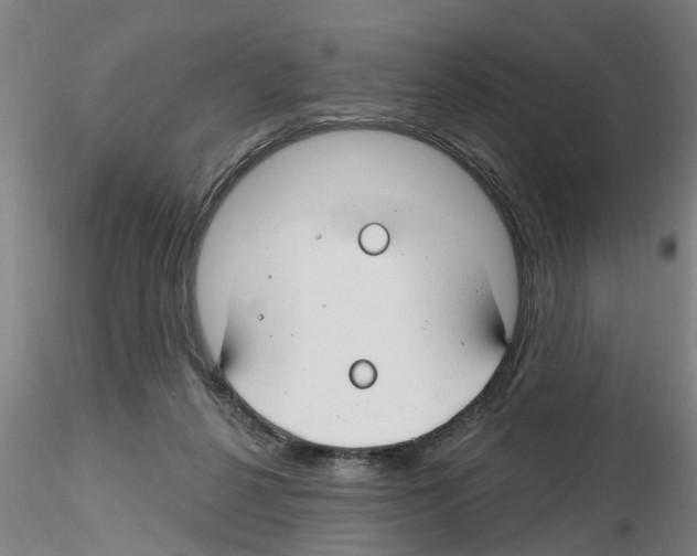 X0000116160264201001041120