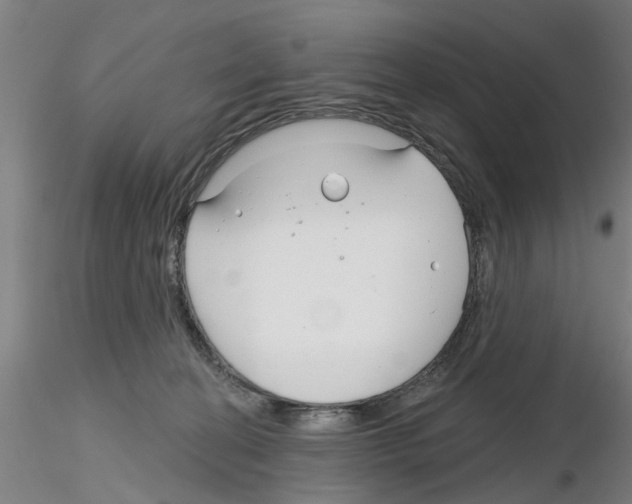 X0000116160274201001041120