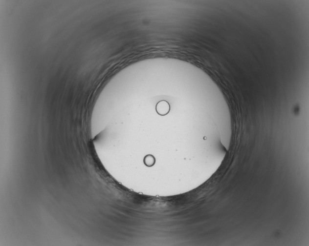 X0000116160276201001041120