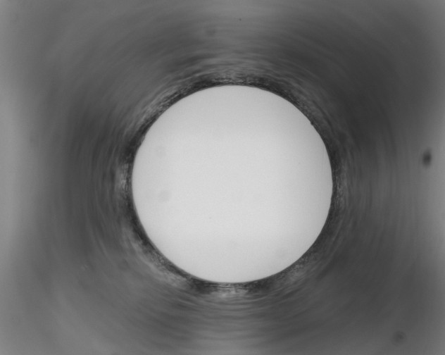 X0000116160278201001041120