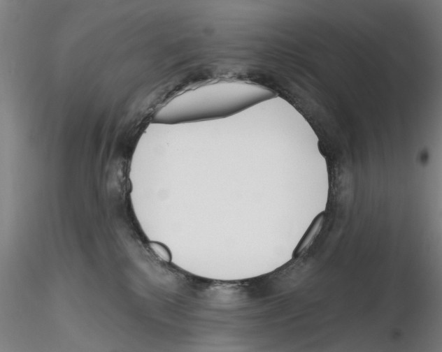 X0000116160280201001041120