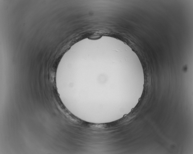 X0000116160281201001041120