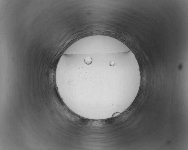 X0000116160282201001041120