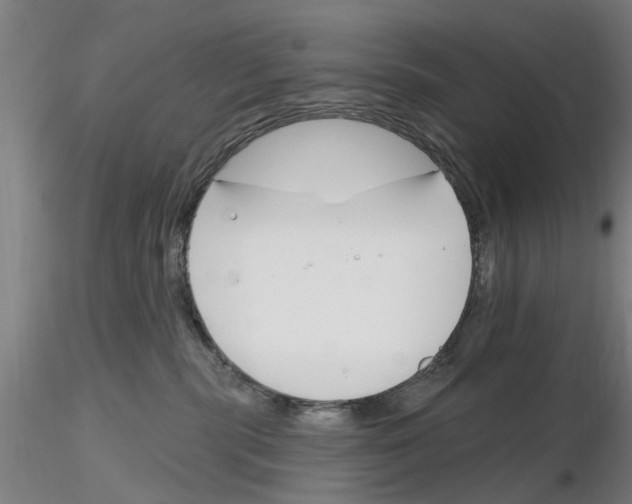X0000116160283201001041120