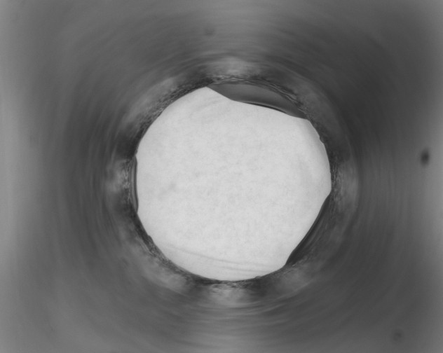 X0000116160284201001041120