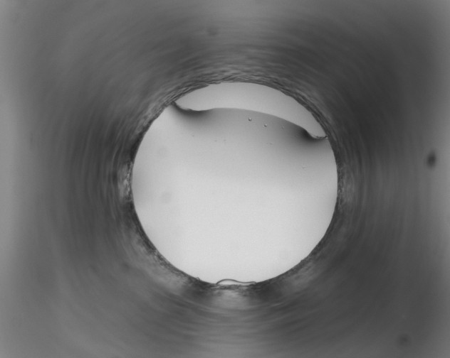 X0000116160285201001041121