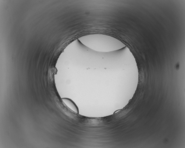 X0000116160286201001041121