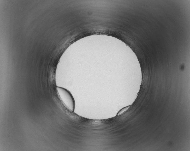 X0000116160287201001041121
