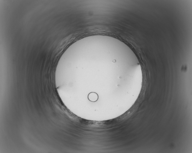 X0000116160288201001041121