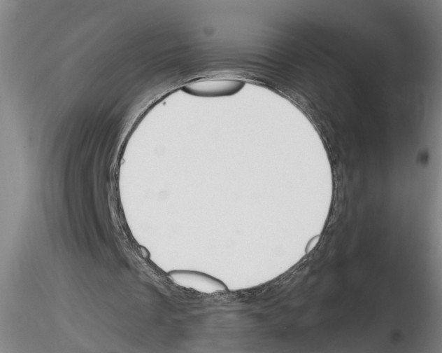 X0000116160289201001041120