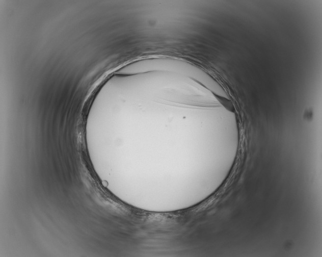 X0000116160290201001041120