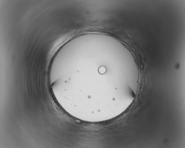 X0000116160293201001041120