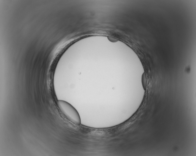X0000116160294201001041120