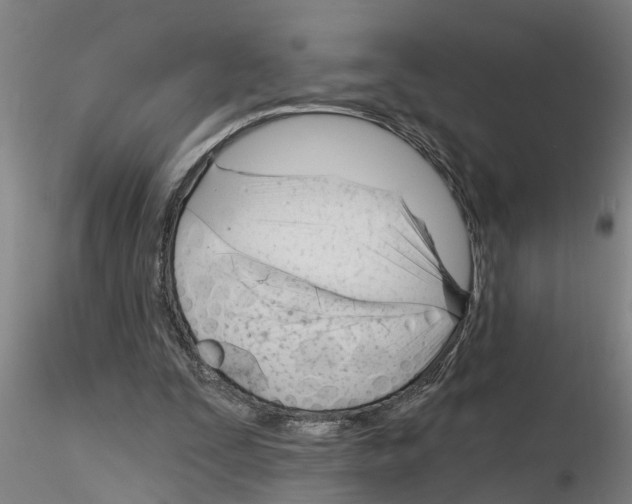 X0000116160295201001041120