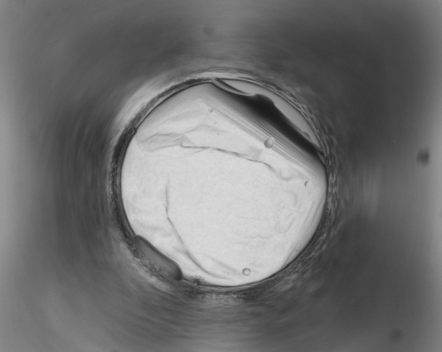 X0000116160296201001041120