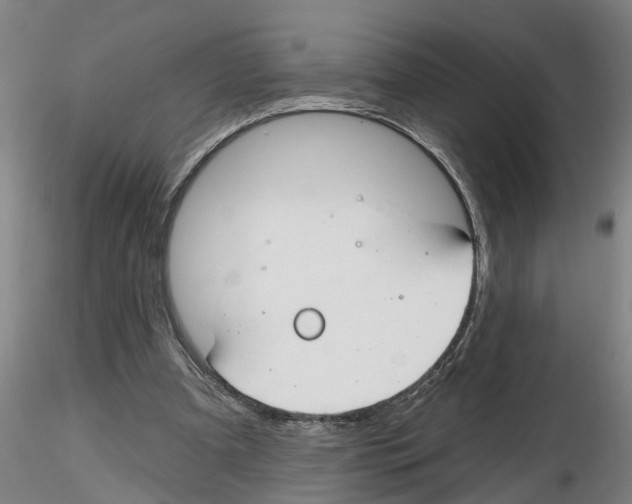 X0000116160297201001041120