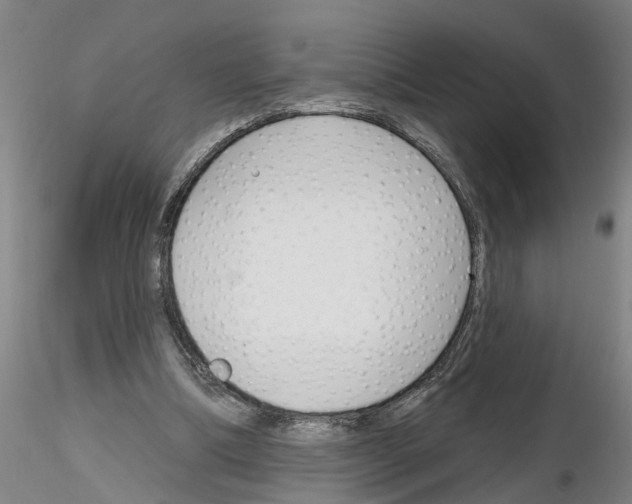 X0000116160298201001041120