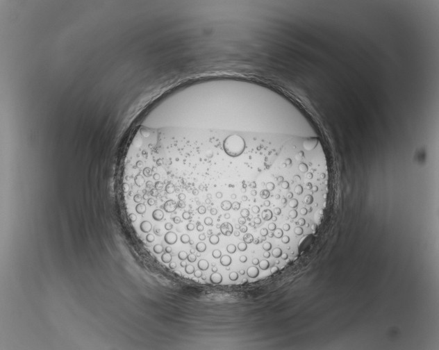 X0000116160299201001041120