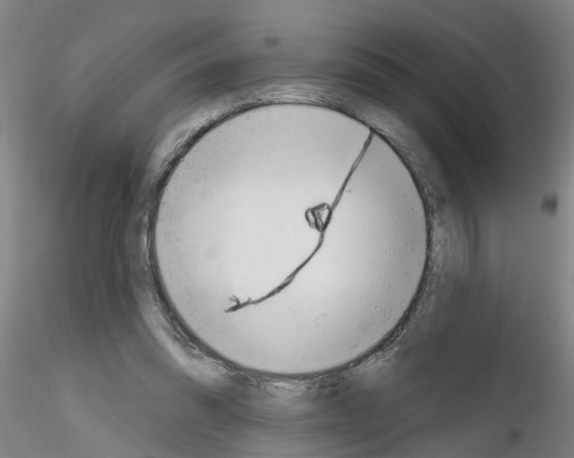 X0000116160302201001041120