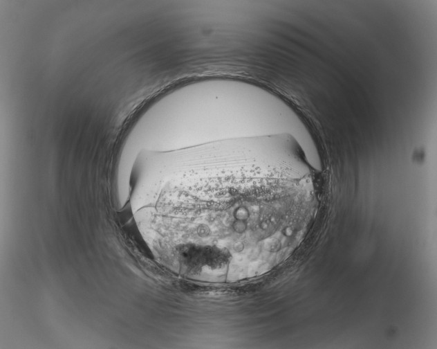 X0000116160303201001041120