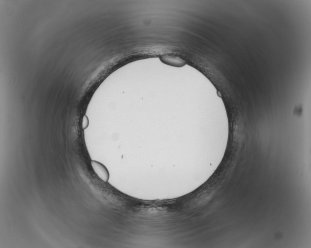 X0000116160304201001041120