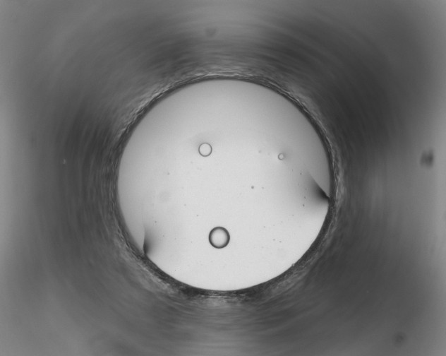 X0000116160305201001041120