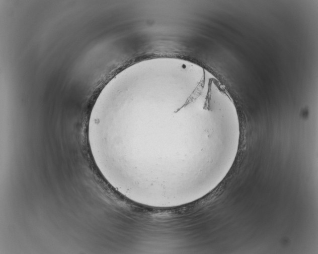 X0000116160309201001041120