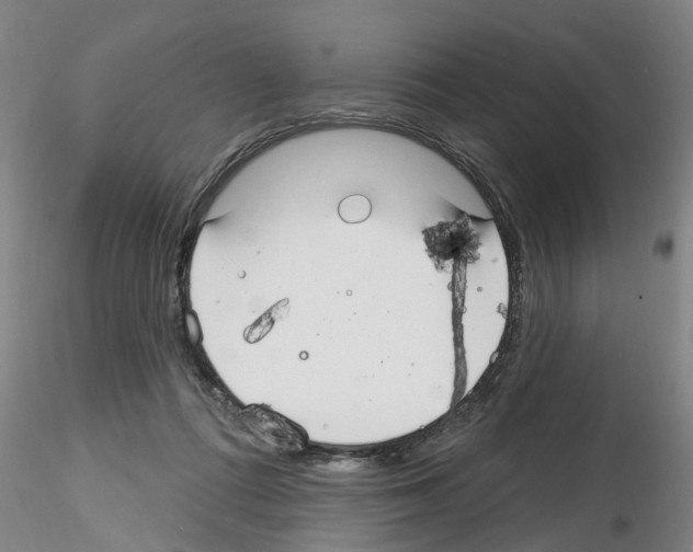 X0000116160312201001041120