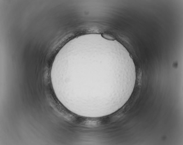 X0000116160314201001041120