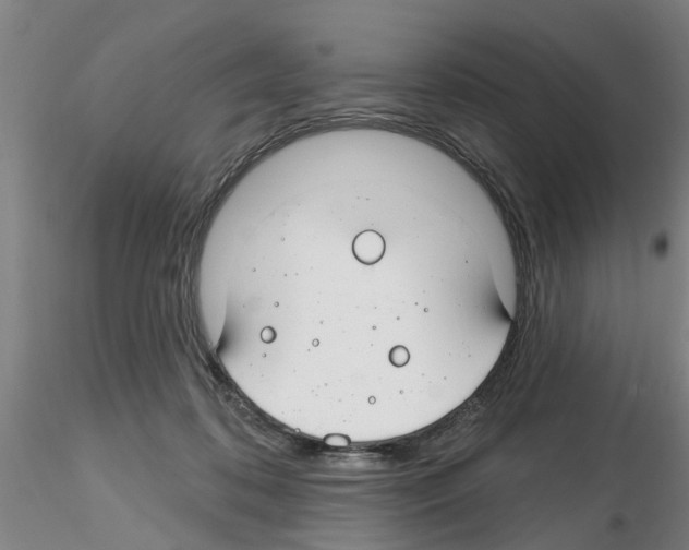 X0000116160316201001041120