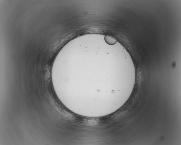 X0000116160318201001041120