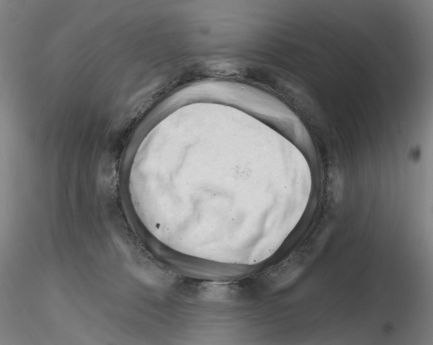 X0000116160320201001041119