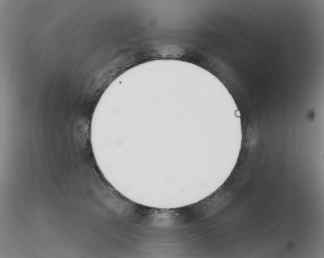 X0000116160321201001041119