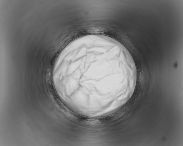 X0000116160322201001041119