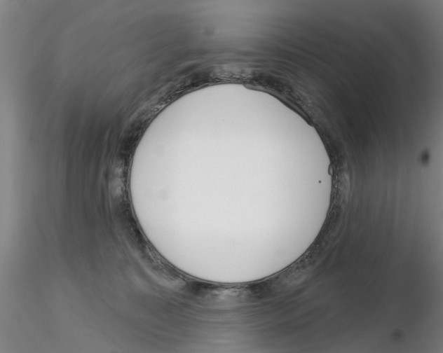 X0000116160323201001041119