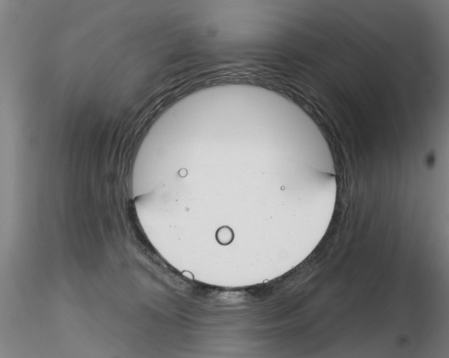 X0000116160324201001041119