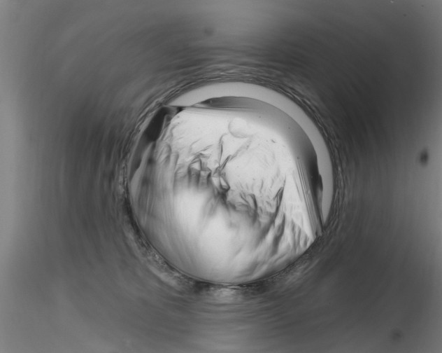 X0000116160325201001041119