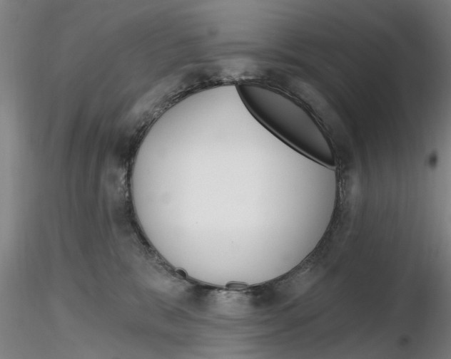 X0000116160327201001041119