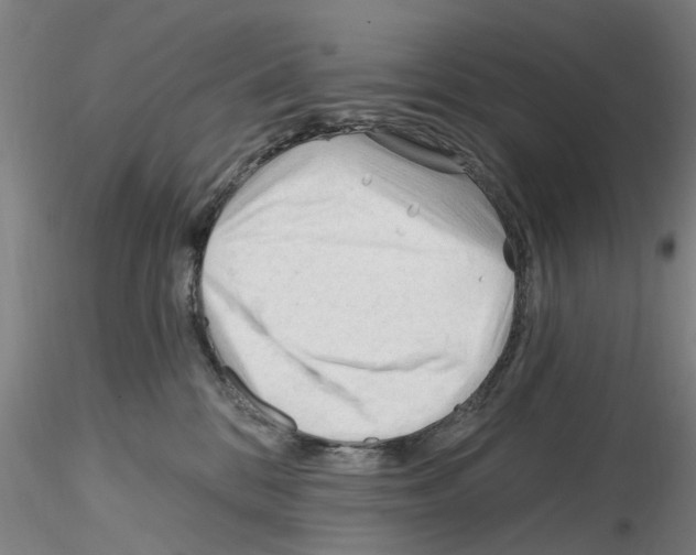 X0000116160328201001041119