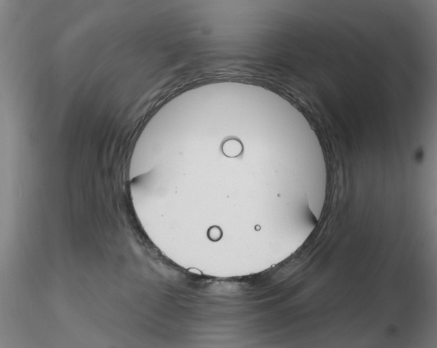 X0000116160332201001041119