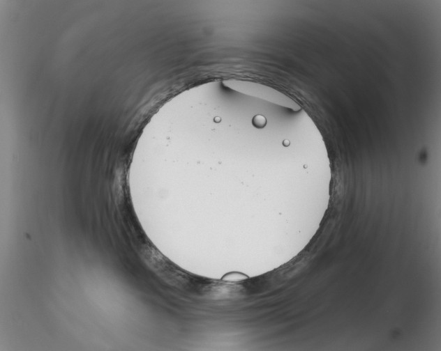 X0000116160333201001041119